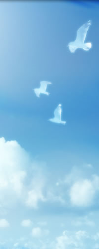 contact_image